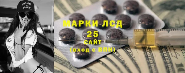 шишки Сатка