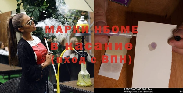ГАЛЛЮЦИНОГЕННЫЕ ГРИБЫ Гусь-Хрустальный