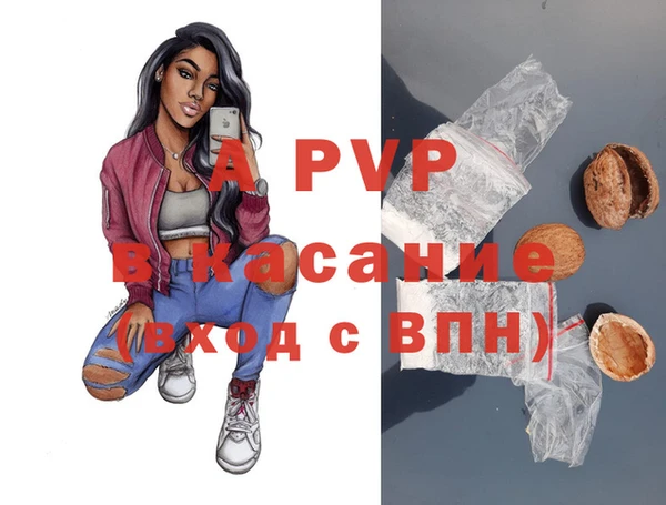 ГАЛЛЮЦИНОГЕННЫЕ ГРИБЫ Гусь-Хрустальный