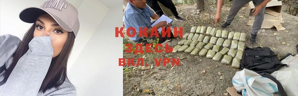 COCAINE Гусиноозёрск