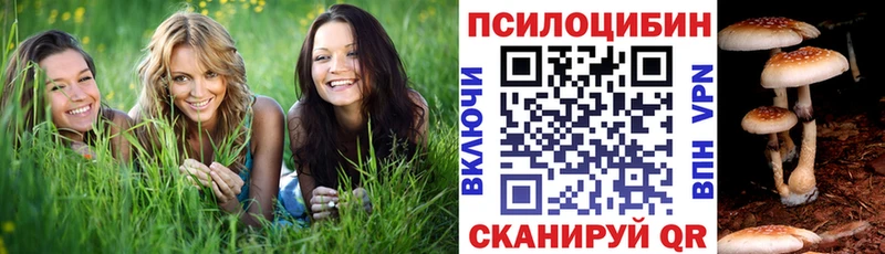 Псилоцибиновые грибы Psilocybe купить наркотики цена Ворсма